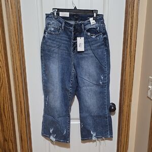 Button fly Judy Blue Women's Blue Distressed Jeans